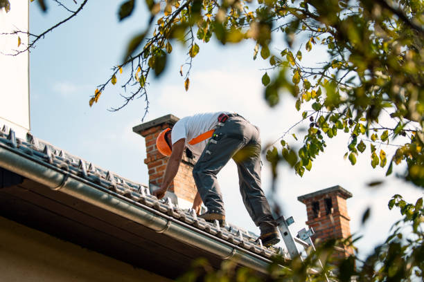 Best Storm Damage Roof Repair  in Charlotte, MI