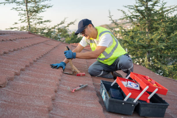 Professional Roofing Contractor in Charlotte, MI