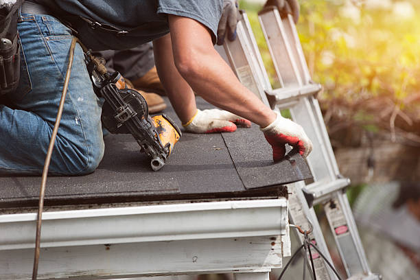 Best Metal Roofing Contractor  in Charlotte, MI
